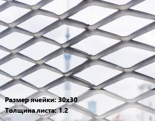 Сетка ЦПВС 30х30 s=1.2